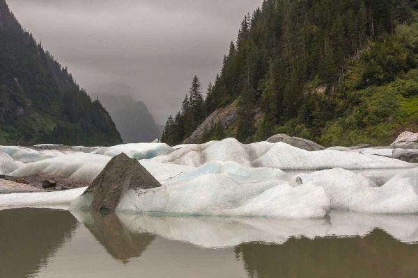 Alaska, Tongass NF Icebergs in Shakes Lake